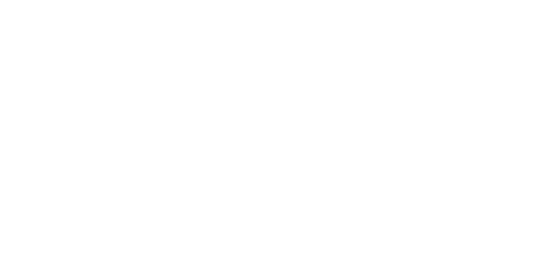 Harmonie Mutuelle Toulouse Métropole Run Experience